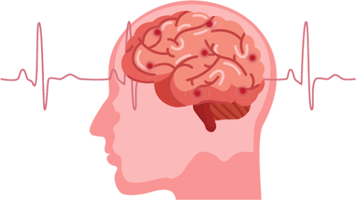 Your Brain has a rhythm